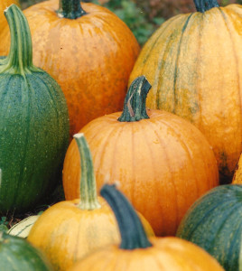 Pumpkins