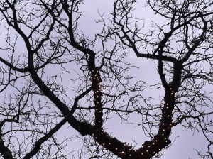 Winter Solstice