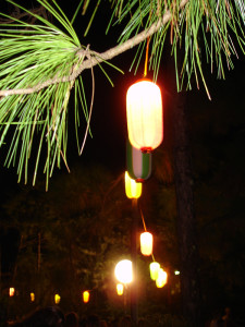 LanternsPines