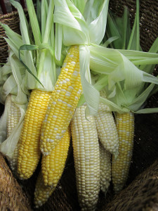 August15Corn