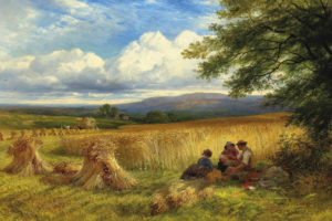 Harvest Rest